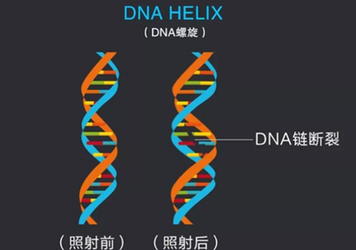 公共場所的空氣殺菌必不可少