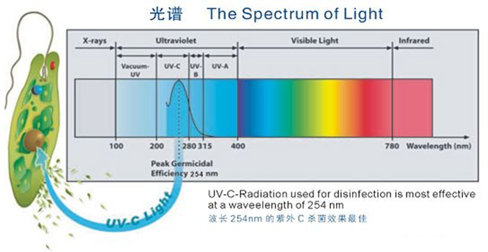 科普！紫外線殺菌燈對人體影響及正確使用方法